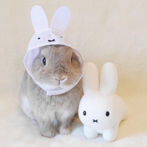 smaller coffee ㅤ♡      