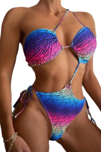 Rainbow Multi Zebra Print Strappy O-Ring One Shoulder 1Pc Swimsuit Monokini - Animal Print / M