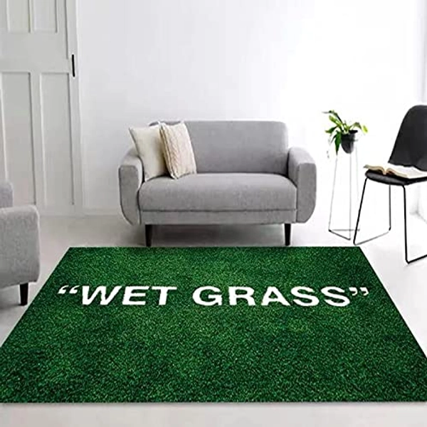 FLYLH Wet Grass Rug Carpet Living Room Decoration Carpet Bedroom Bedside Carpet Bay Window Area Rugs Carpet Sofa Floor Mat Rugs (23.62x35.43IN)