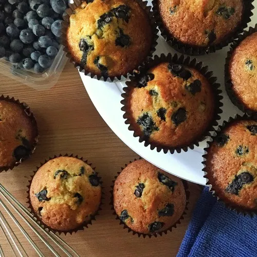 🍓 Blueberry Muffin Fund