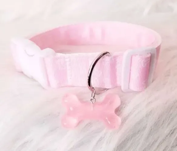 ˗ˏˋ puppy fund ˎˊ˗