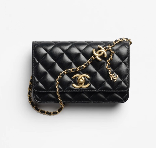 Chanel Wallet on chain - Shiny lambskin & gold-tone metal, black — Fashion | CHANEL