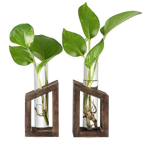 Ivolador Test Tube Glass Plant Terrarium Container Perfect for Propagating Hydroponic Plants Home Office Garden Decor Wedding (House - Brown) - Brown2