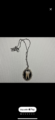 Tooth necklace 