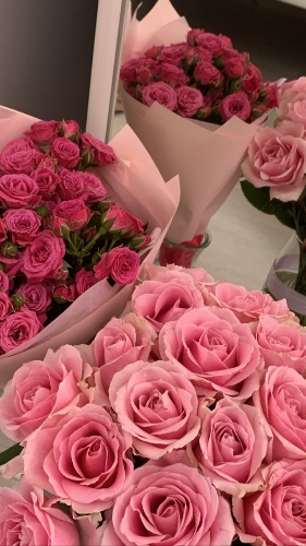 flowers 🤍
