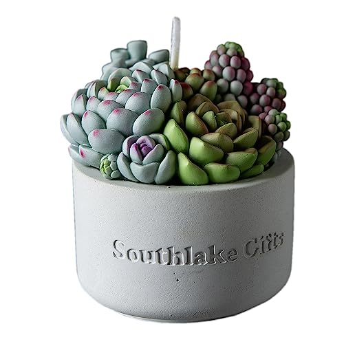 Assorted Succulent Pot Scented Candle for Spa Home Decoration Wedding Gift - Assorted Succulent