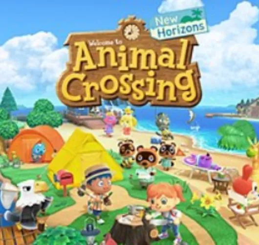 Video Game