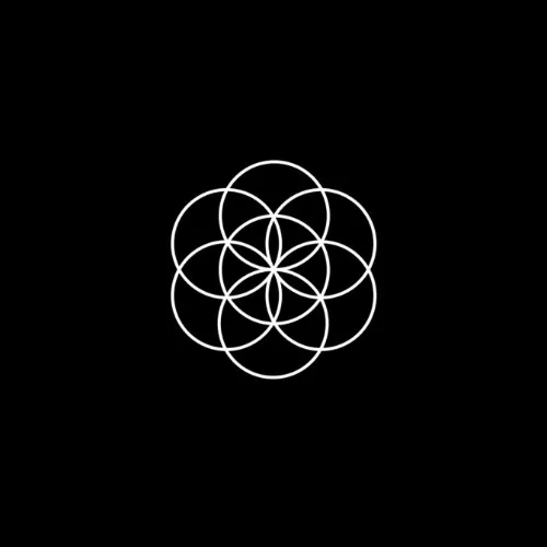 Chauffeur - car service