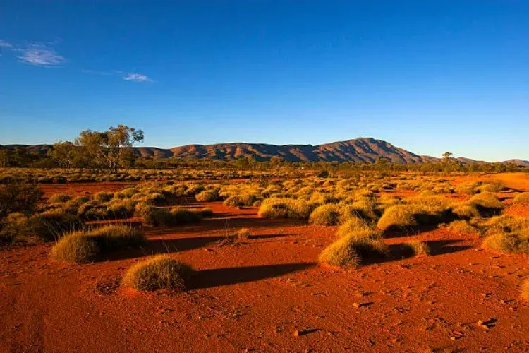 Holiday to Australia