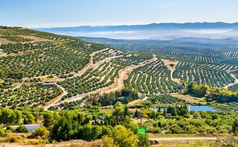 Buy My Dream Piece of Land in Spain