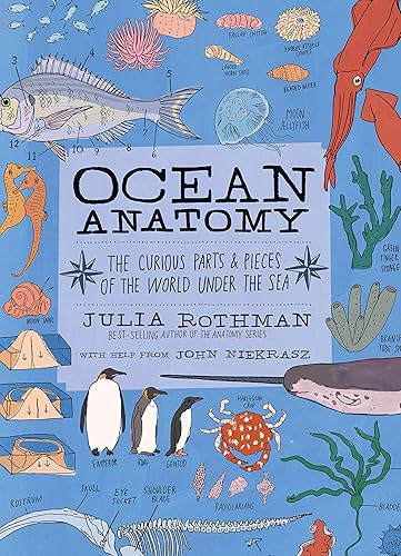 Ocean Anatomy: The Curious Parts & Pieces of the World under the Sea