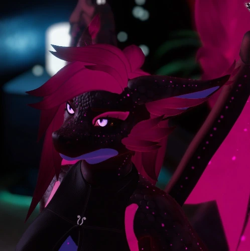 Support, vrc+ and more