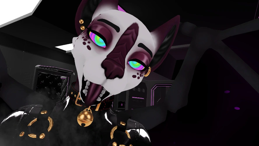 Single 30 min sesh VRC~