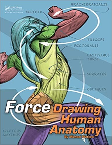 FORCE: Drawing Human Anatomy (Force Drawing Series) - Paperback, Illustrated