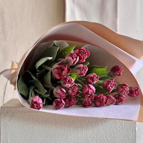 TULIP DREAM | Exquisite / Vase