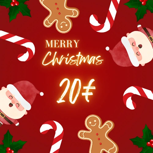 Merry Christmas 🎄 - 20€