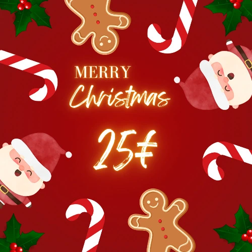 Merry Christmas 🎄 - 25€