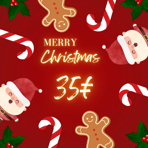 Merry Christmas 🎄 - 35€
