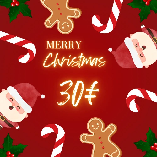 Merry Christmas 🎄 - 30€