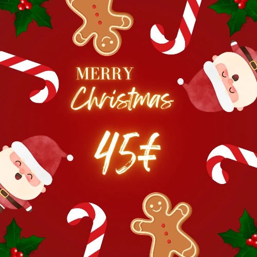 Merry Christmas 🎄 - 45€