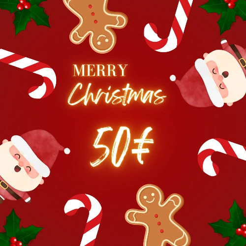 Merry Christmas 🎄 - 50€