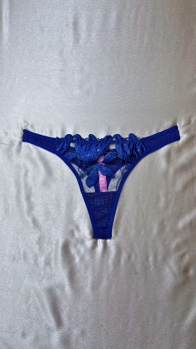 Eloise Blue Panty - Large / Royal Blue