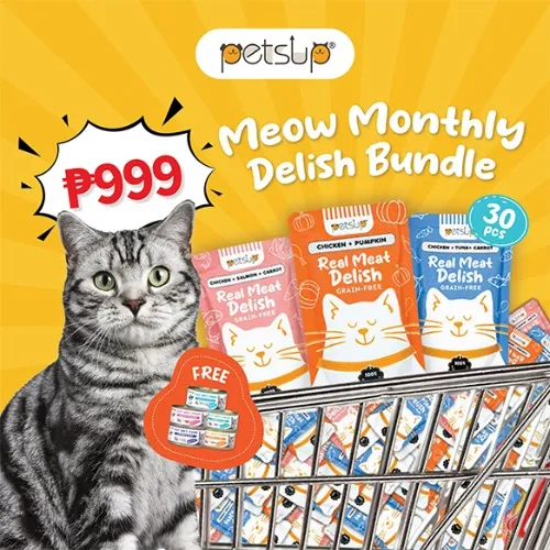 Real Meat Delish Wet food bundle