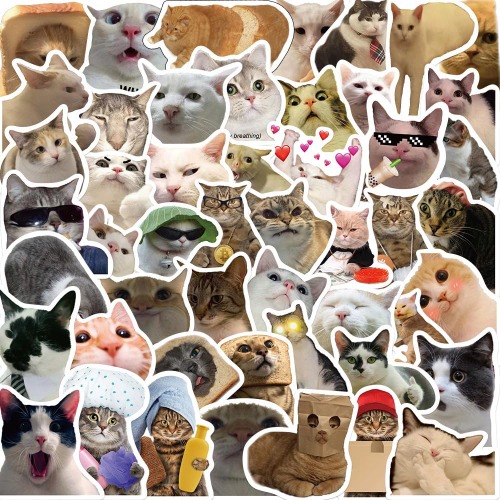 Meme Cat Stickers,50PCS Cat Graffiti Vinyl Waterproof Decals for Water Bottles Computer Bicycle Skateboard Luggage Phone Pad Laptop Kids Teens Stickers Pack - Meme Cat