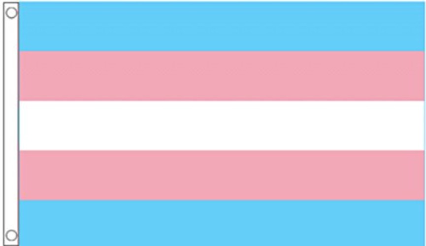 Transgender Pride Monica Helms Flag 5'x3' (150cm x 90cm) - Woven Polyester