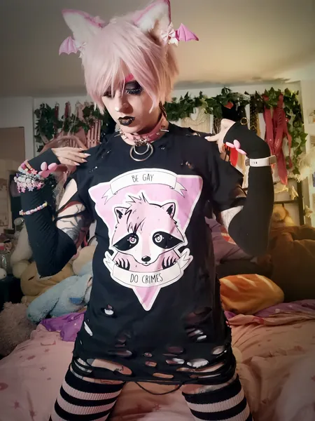 Be Gay Do Crimes T-shirt S-XXL (Black and pink raccoon)
