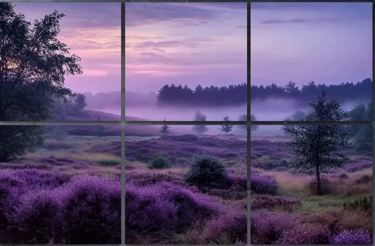 Art Acoustic Panels (Sound Proof) Magical Purple Heather 6 Pack Decorative Sound Absorbing Wall Panels 72x48" Noise Canceling Soundproof Padding Room Decor for Office - 72"x48" - Multi3