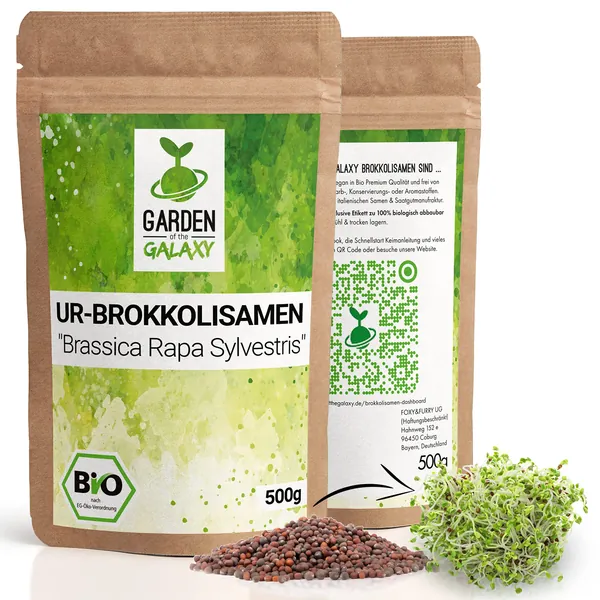 Broccoli groddar [200 Gr] - Broccolifrön med högt innehåll av sulforafan tack vare sorten "Brassica rapa sylvestris" direkt från Italien - Broccoli Sprouts - Broccoli Seeds (500)