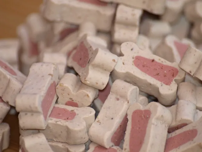 Sacks für die Hunde