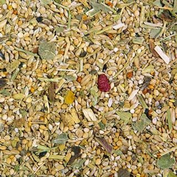 Kräuterapotheke Wellensittich 500g FWS5