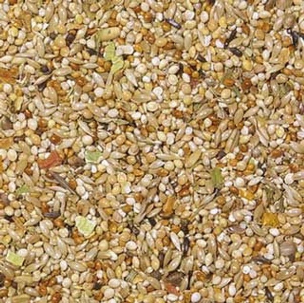 Gemüsegarten Wellensittich 500g FWS4