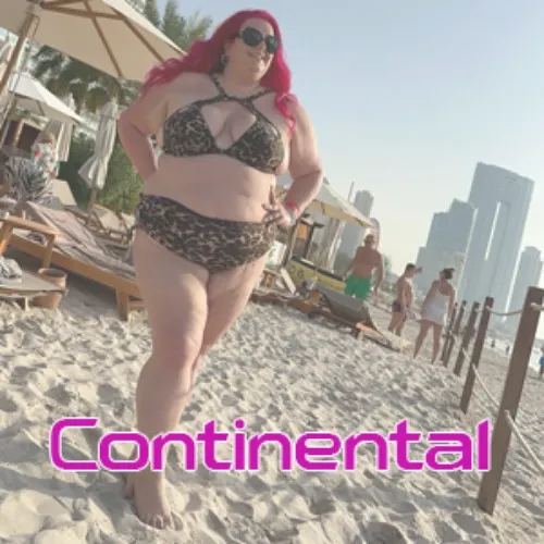 Fly Me To You - Continental