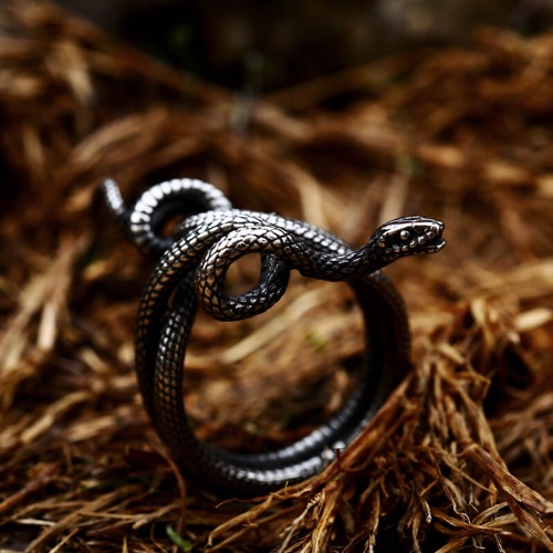 Wild Snake Stainless Steel Animal Ring - Silver / 8