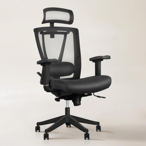 Aery Ergonomic Chair - Black