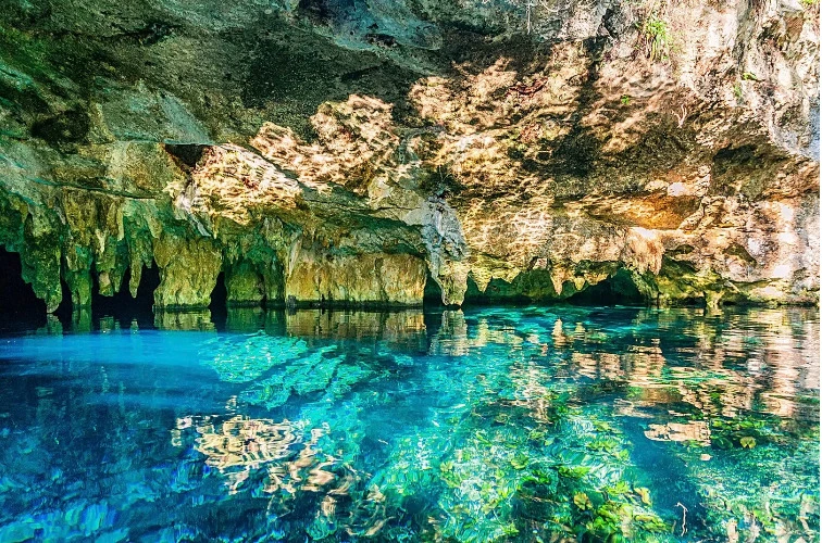 SCUBA DIVING COURSE!!!! X2 OPEN WATER COURSE