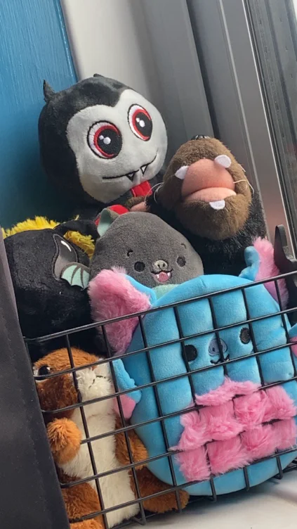 Escape jail
