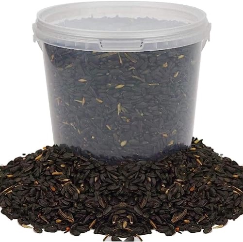 Semillas de Girasol Negro de BusyBeaks - Alimento Rico en Aceite para Aves Silvestres en Jardines ocupados (5L) - 5 kg (Paquete de 1)