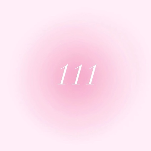 (111)