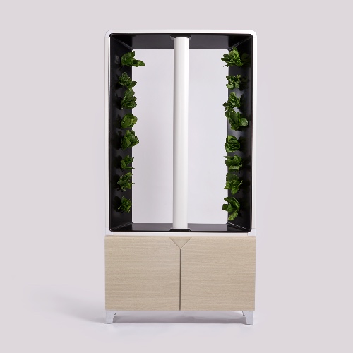 The AEVA Indoor Farm - Millwood Oak