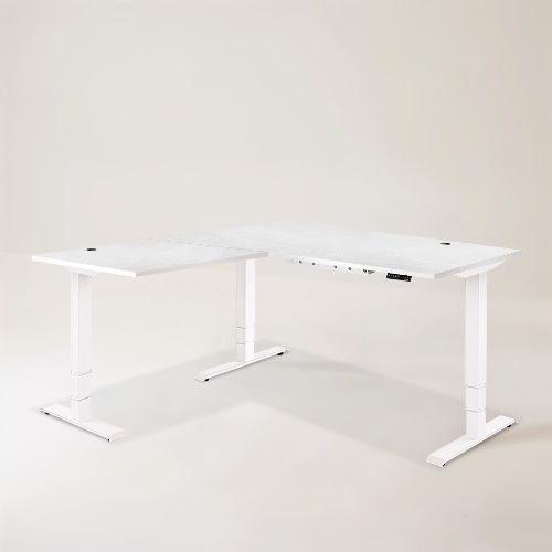 Executive Standing Corner Desk - L Shaped - Large 71" × 71" / White / Oak White