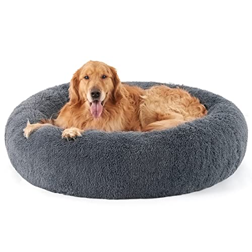 Dog Bed 