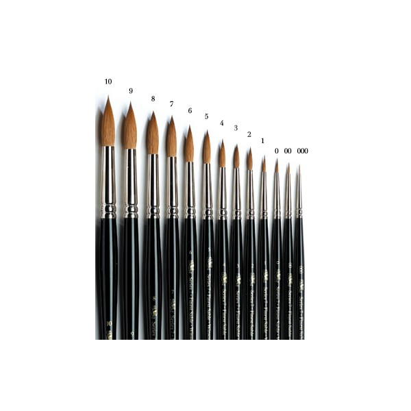 Winsor and Newton Watercolor Brush