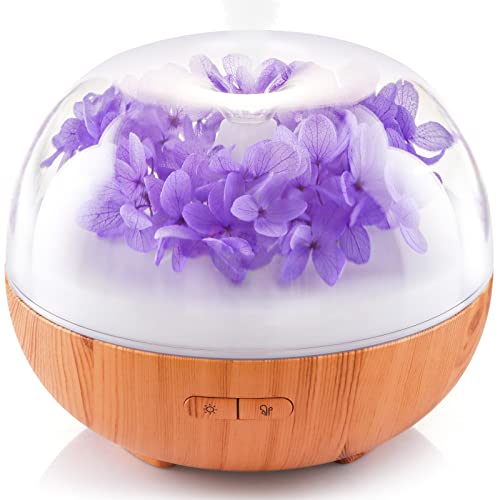 Aromatherapy Essential Oil Diffuser with Ultrasonic Mist Auto Shut-Off Air Humidifier Light for Home Bedroom Office (Purple) - Purple