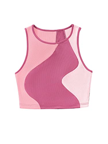 SweatyRocks Women's Summer Ribbed Knit Sleeveless Vest Color Block Crop Tank Top - Large - Purple Pink