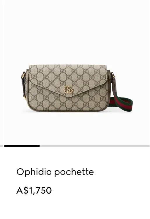 Gucci Bag plus shipping.