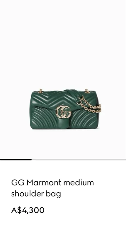 Gucci Bag plus shipping.